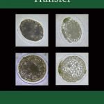 Equine Embryo Transfer PDF