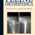 Feline Orthopedics Free PDF