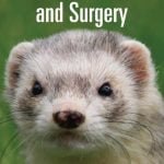 Ferret Medicine And Surgery For The Veterinary Practitioner PDF