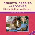 Ferrets, Rabbits, And Rodents Clinical Medicine And Surgery, 3rd Edition PDF
