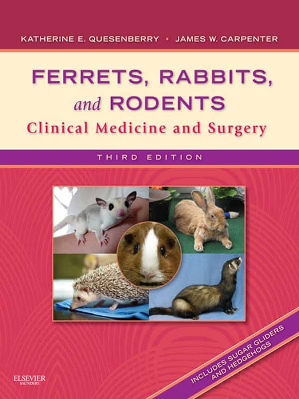 Ferrets, Rabbits, And Rodents Clinical Medicine And Surgery, 3rd Edition PDF