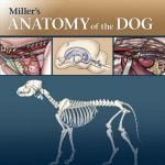 Miller’s Anatomy Of The Dog Book PDF