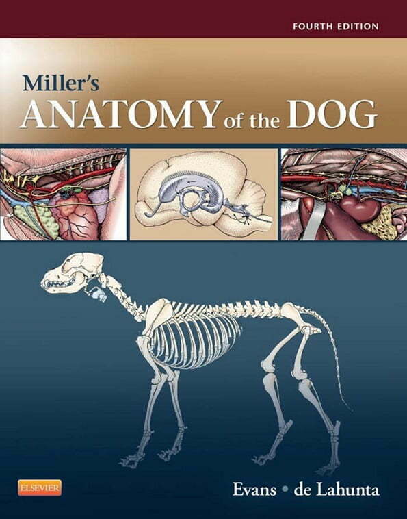 Miller's Anatomy Of The Dog Book PDF