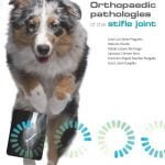 Orthopaedic Pathologies Of The Stifle Joint Free PDF