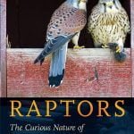 Raptors The Curious Nature Of Diurnal Birds Of Prey PDF