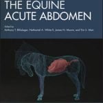 The Equine Acute Abdomen PDF