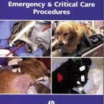 Veterinary Emergency And Critical Care Procedures PDF