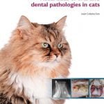 Visual Atlas Of Oral And Dental Pathologies In Cats PDF