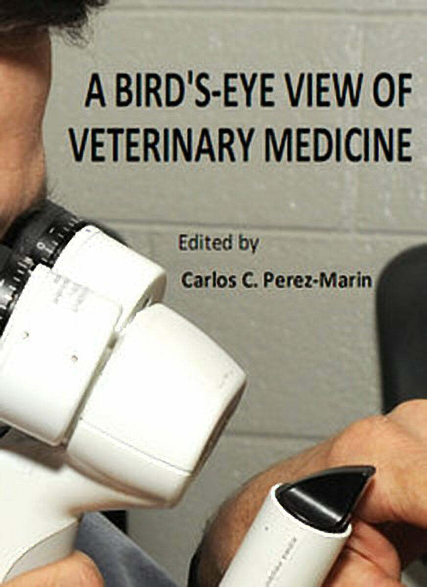 A Bird's Eye View Of Veterinary Medicine