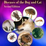 Arthropod Borne Infectious Diseases Of The Dog And Cat Pdf