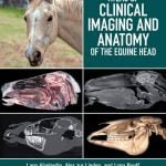 Atlas Of Clinical Imaging And Anatomy Of The Equine Head