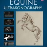 Atlas Of Equine Ultrasonography