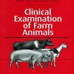 Clinical Examination Of Farm Animals