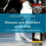 Color Atlas Of Diseases And Disorders Of The Foal 1st Edition