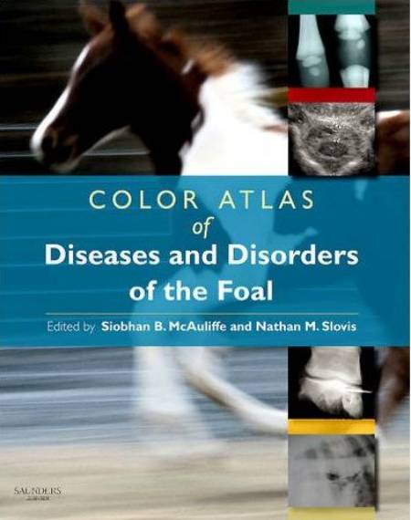 Color Atlas Of Diseases And Disorders Of The Foal 1st Edition