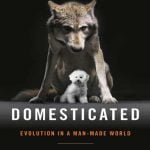 Domesticated Evolution In A Man Made World