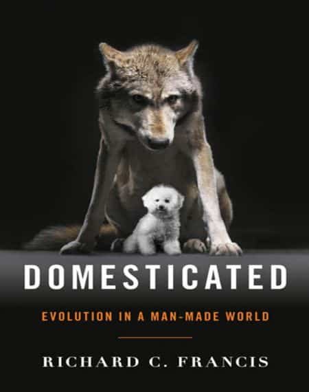 Domesticated Evolution In A Man Made World