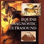 Equine Diagnostic Ultrasound, 1st Edition