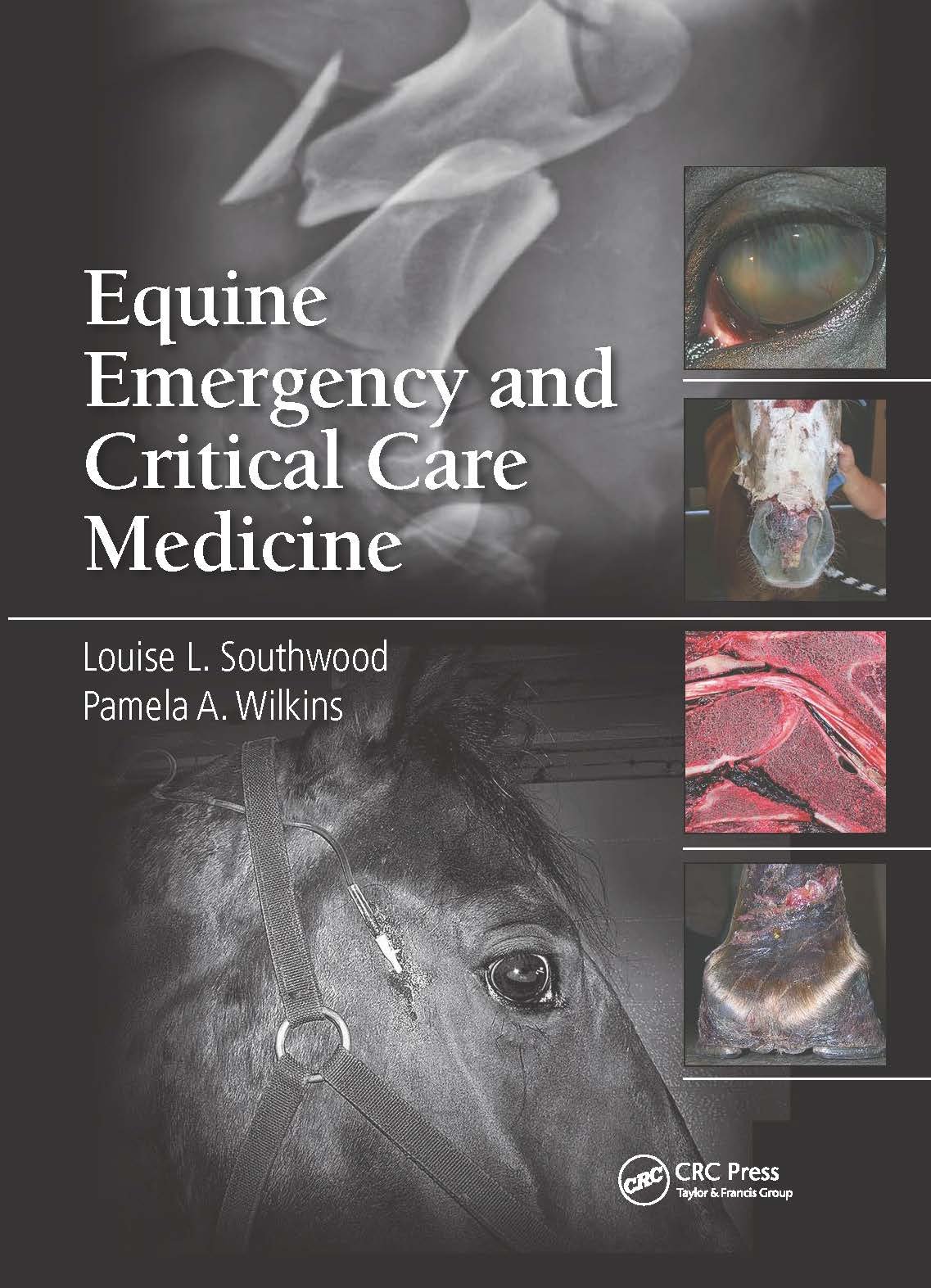 Equine Emergency And Critical Care Medicine