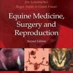 Equine Medicine, Surgery And Reproduction 2nd Edition