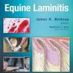 Equine Laminitis