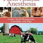 Farm Animal Anesthesia Cattle Small Ruminants Camelids And Pigs