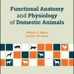 Functional Anatomy And Physiology Of Domestic Animals, 5th Edition