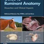 Guide To Ruminant Anatomy Dissection And Clinical Aspects