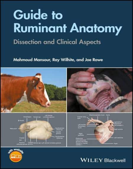 Guide To Ruminant Anatomy Dissection And Clinical Aspects