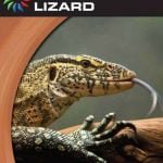 Monitor Lizard By Barbara A. Somervill