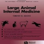 NVMS Large Animal Internal Medicine