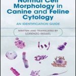 Normal Cell Morphology In Canine And Feline Cytology An Identification Guide