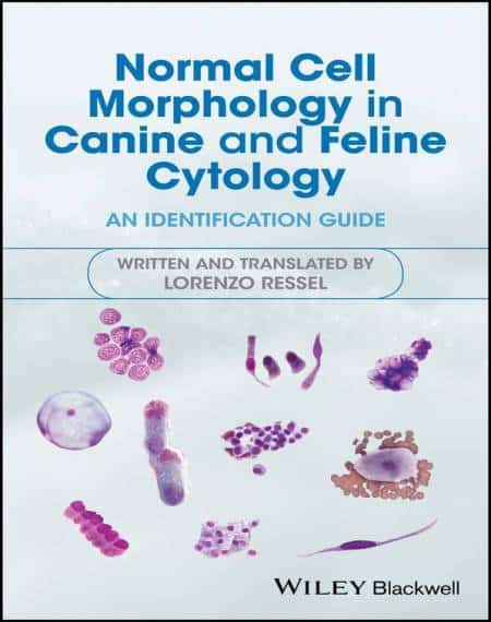 Normal Cell Morphology In Canine And Feline Cytology An Identification Guide