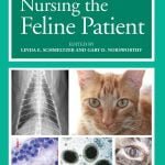 Nursing The Feline Patient