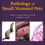 Pathology Of Small Mammal Pets