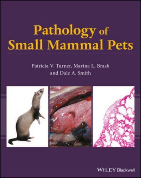 Pathology Of Small Mammal Pets