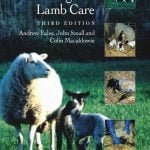 Practical Lambing And Lamb Care A Veterinary Guide, 3rd Edition
