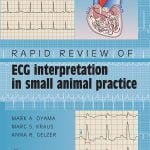 Rapid Review Of ECG Interpretation In Small Animal Practice