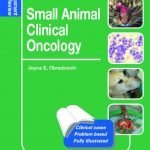 Small Animal Clinical Oncology Self Assessment Color Review