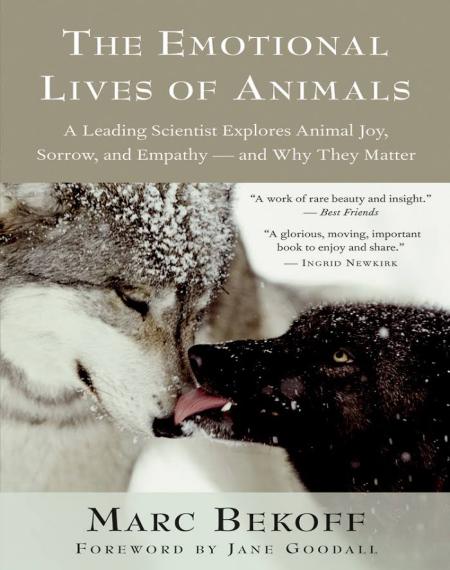 The Emotional Lives Of Animals