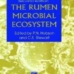 The Rumen Microbial Ecosystem