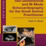 Two Dimensional And M Mode Echocardiography For The Small Animal Practitioner