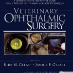 Veterinary Ophthalmic Surgery PDF