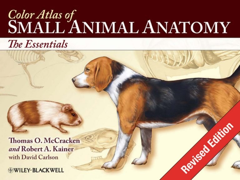 Wheater’s Functional Histology – A Text And Colour Atlas, 5th Edition PDF