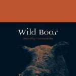 Wild Boar