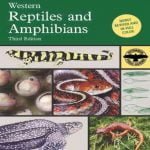 A Field Guide To Western Reptiles And Amphibians