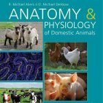 Anatomy And Physiology Of Domestic Animals 2nd Edition