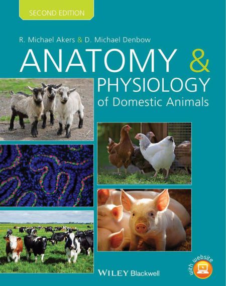 Anatomy And Physiology Of Domestic Animals 2nd Edition