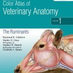 Color Atlas Of Veterinary Anatomy, The Ruminants, 2nd Edition