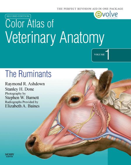 Color Atlas Of Veterinary Anatomy, The Ruminants, 2nd Edition